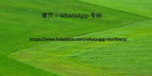 首页 » WhatsApp 号码