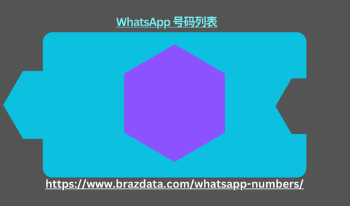 WhatsApp 号码列表