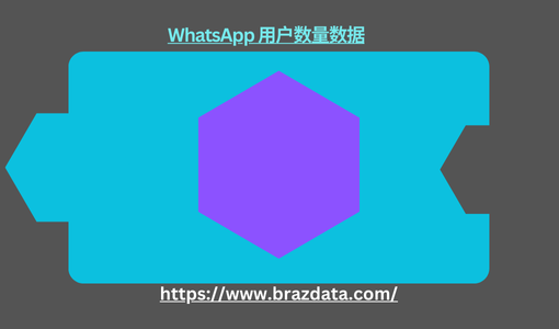 WhatsApp 用户数量数据