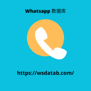 Whatsapp 数据库