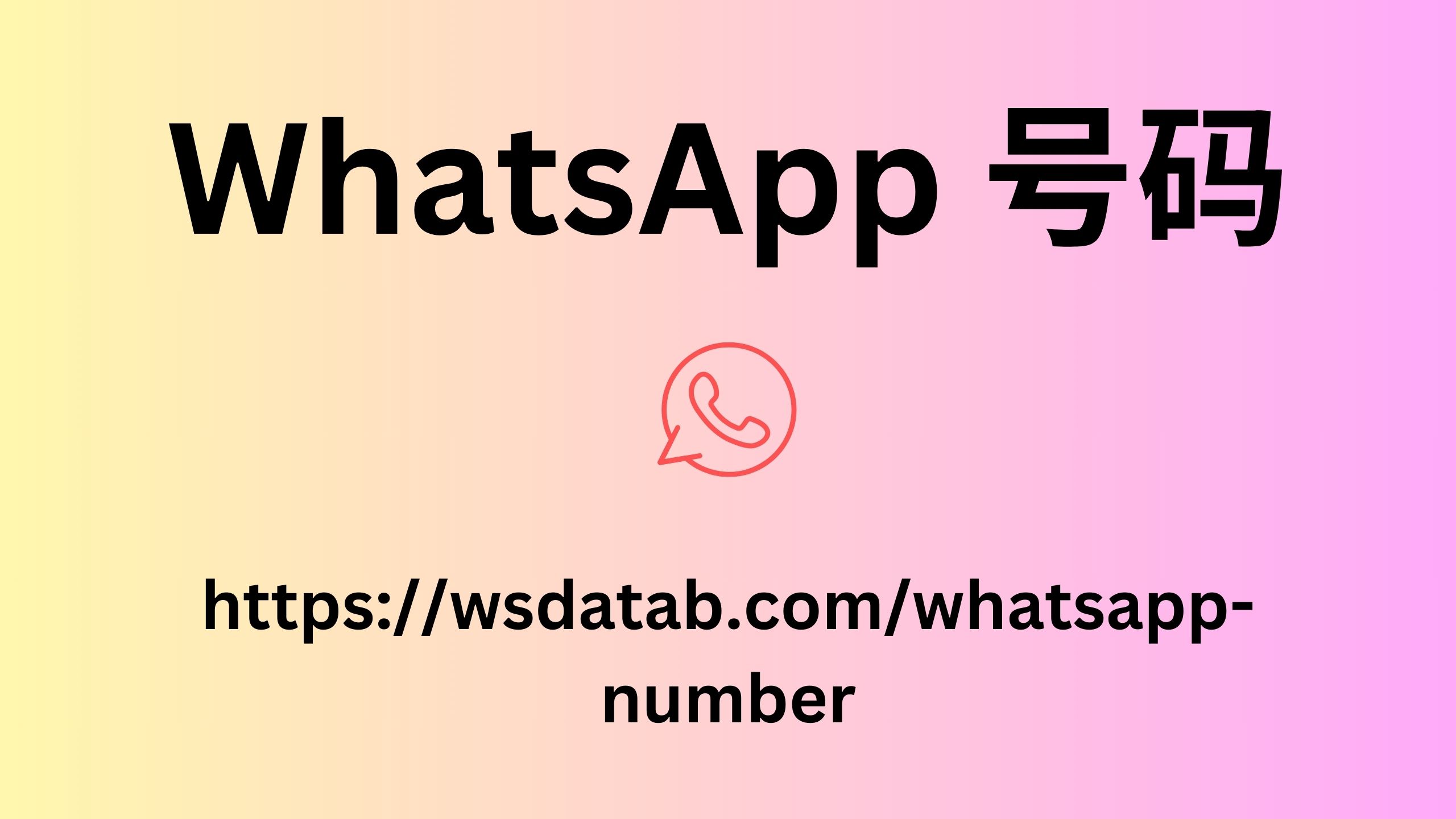 WhatsApp 号码