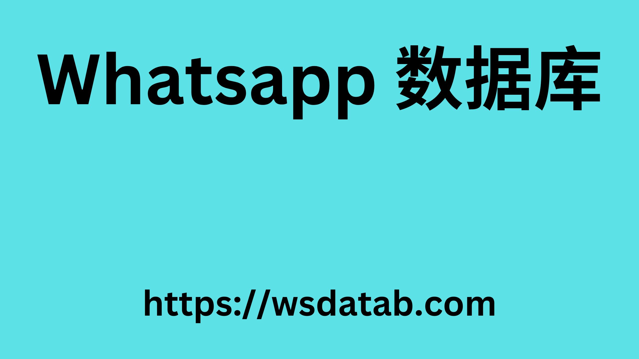 Whatsapp 数据库