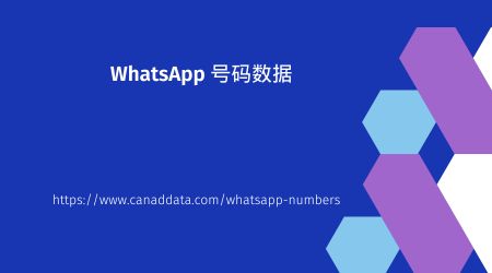 WhatsApp 号码数据