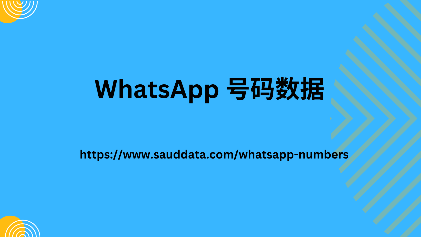 whatsApp 号码数据